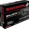 Winchester Supreme .243 Wsm Win Super Short Mag 55-Grain Ballistic Silvertip Rifle Ammunition